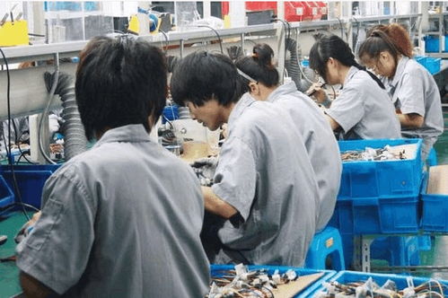 從電子廠到個人護理電器 農村青年就業選擇背后的生存智慧